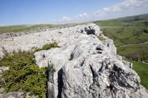 malham 30 sm.jpg
